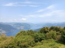 IMG_20250719_115458.jpg