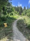 IMG_8513.jpeg