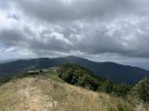 IMG_8518.jpeg