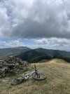 IMG_8527.jpeg