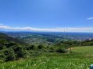 IMG_20250803_105537.jpg