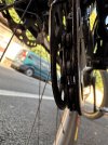 IMG_4351.jpeg