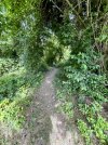 IMG_1528.jpeg