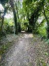 IMG_1532.jpeg