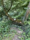 IMG_1539.jpeg