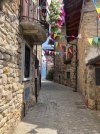 IMG_4890.jpeg