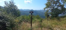 IMG_20250807_111806.jpg
