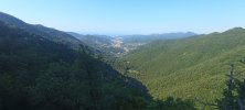 IMG_20250807_092626.jpg