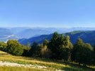 IMG_20250810_125029.jpg