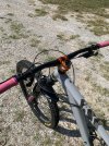 IMG_0354.jpeg