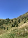 IMG_4922.jpeg