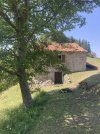 IMG_4929.jpeg