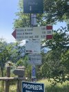 IMG_4928.jpeg