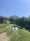 IMG_4932.jpeg