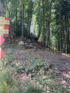 IMG_4940.jpeg