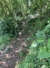 IMG_4949.jpeg