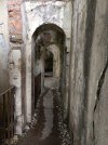 IMG_20250814_114228.jpg