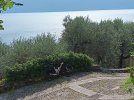 IMG_20250816_103239.jpg