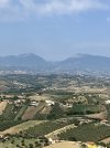 IMG_9928.jpeg
