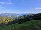 IMG_20250817_082952.jpg