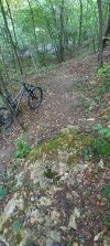 IMG_20250817_093657.jpg