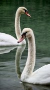 IMG_20250820_124929.jpg