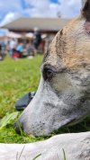 IMG_20250824_141500.jpg