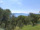 IMG_20250825_114553.jpg