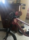 IMG_7424.jpeg