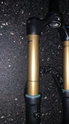 IMG_0284.jpeg