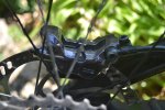 DSC_1331.JPG