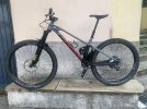 IMG_3005.jpeg