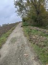 IMG_0646.jpeg