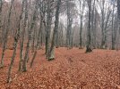 IMG-20251108-WA0041.jpg