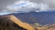 IMG-20251108-WA0039.jpg