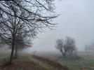 IMG_20251210_080528.jpg