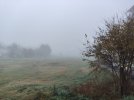 IMG_20251210_080540.jpg