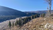 P_20251210_101745.jpg