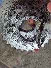 Pignoni bici 11v 11 32 Microshift
