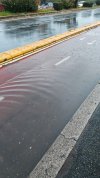 IMG_20251224_081207.jpg