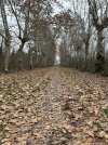 IMG_1126.jpeg