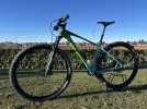 Mtb Orbea Alma Carbon Tg- M XT - SRAM - DRC
