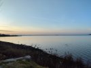 IMG_20260117_163204.jpg
