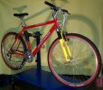 Specialized S-Works Team M2
