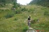 DSC06520.jpg