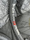 IMG_0174.JPEG