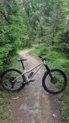 Chromag Rootdown tg.M