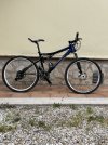IMG_1527 (1).jpeg