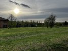 IMG_1717.jpeg