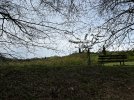 IMG_1718.jpeg